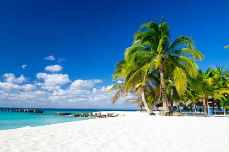 Parai Tenggiri, Pesona Indahnya Pantai Berbatu