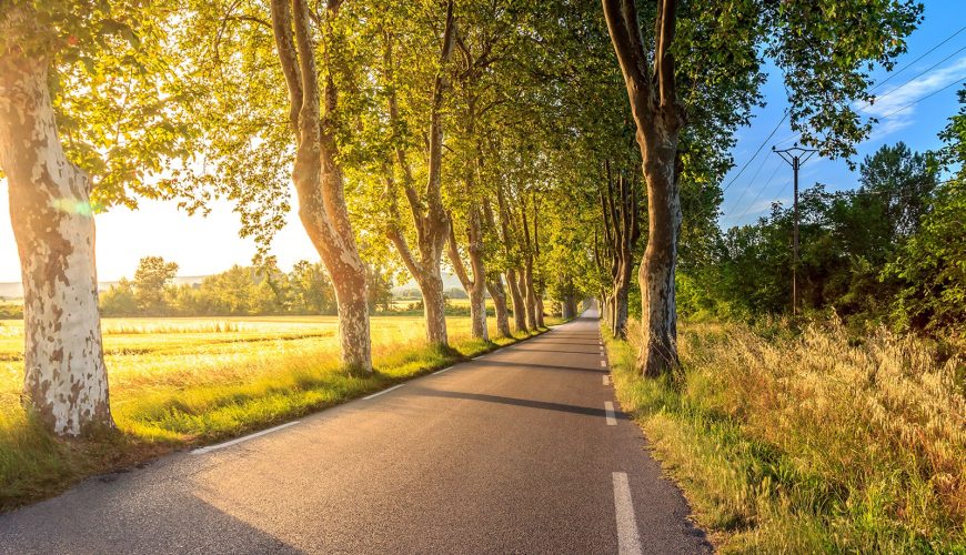 Flexible long term rentals