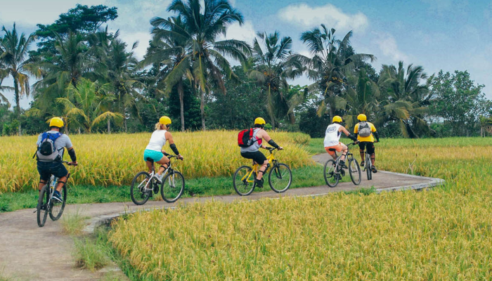 bali cycling tour